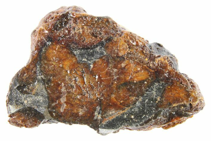 Polished Sericho Pallasite Meteorite ( g) - Kenya #262929